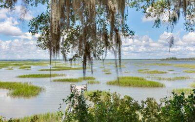 Designing for the Charleston Climate: Tips to Build on Your Lot