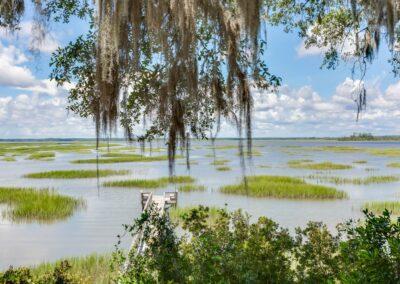 Spanich moss hanging from a Virginia live oak looking out over a dock and panoramic marsh and river vista.