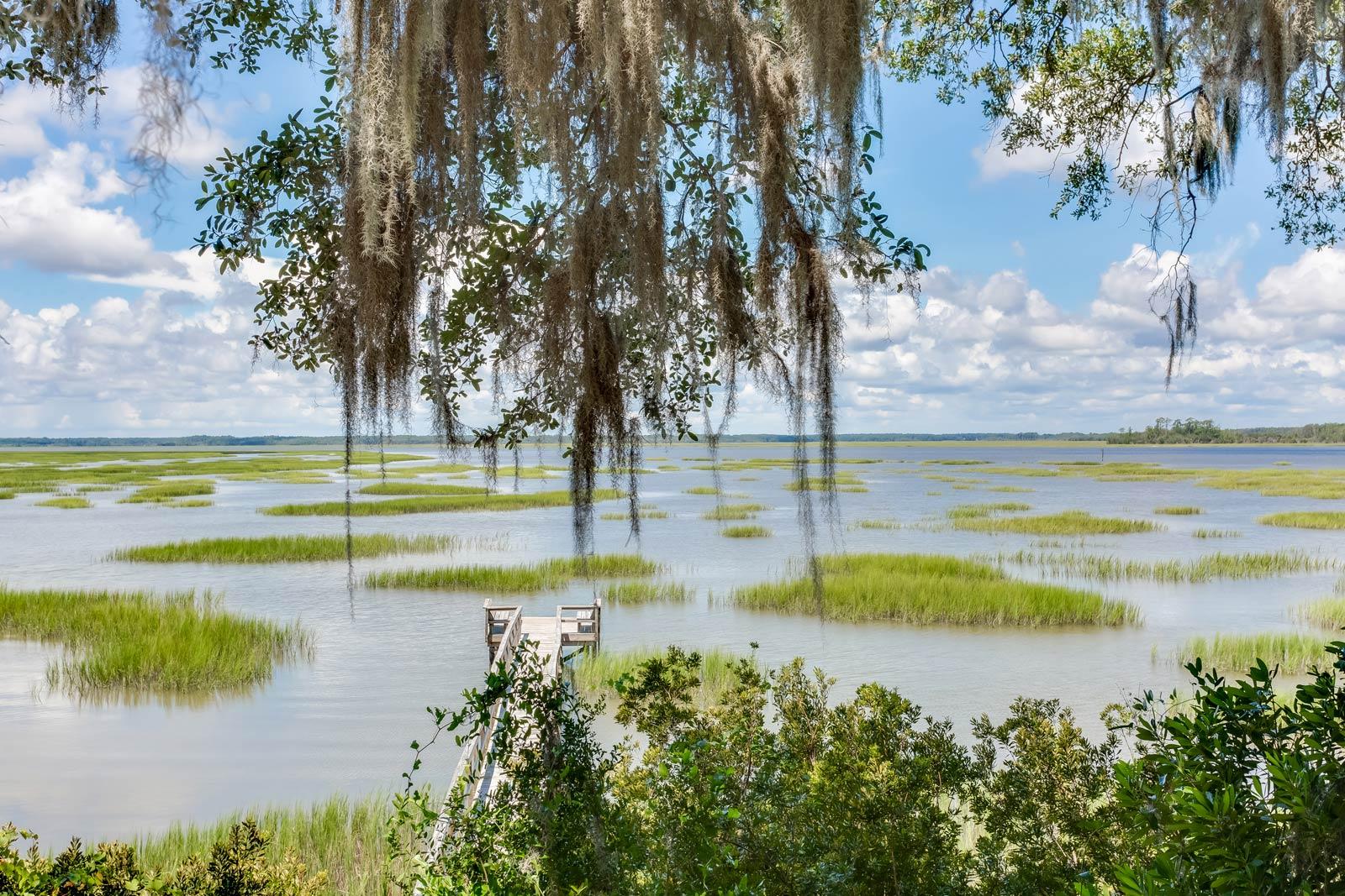 Spanich moss hanging from a Virginia live oak looking out over a dock and panoramic marsh and river vista.