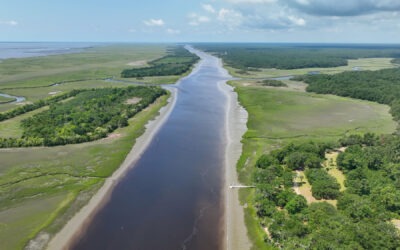How to Select the Right Lot for Your New Home in Charleston