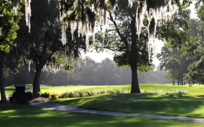 Charleston Neighborhood Spotlight: Snee Farm Mt. Pleasant SC